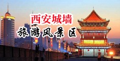 操骚屄熟女中国陕西-西安城墙旅游风景区
